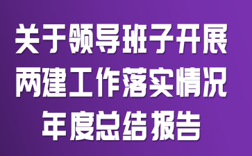關(guān)于領(lǐng)導(dǎo)班子開展兩建工作落實(shí)情況年度總結(jié)報(bào)告